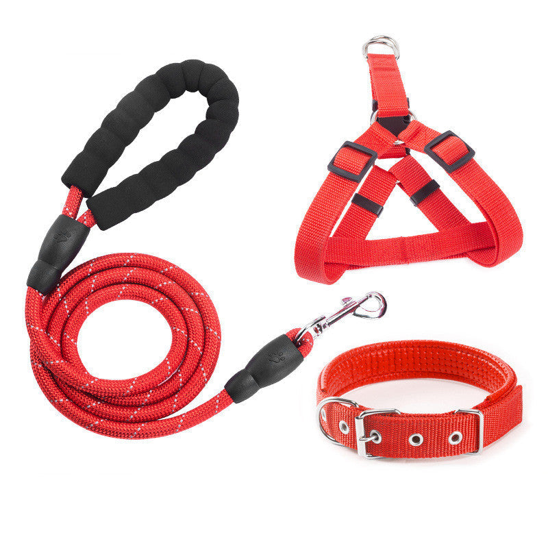 Leashes, Collars & Travel Accessories | PawPerfect