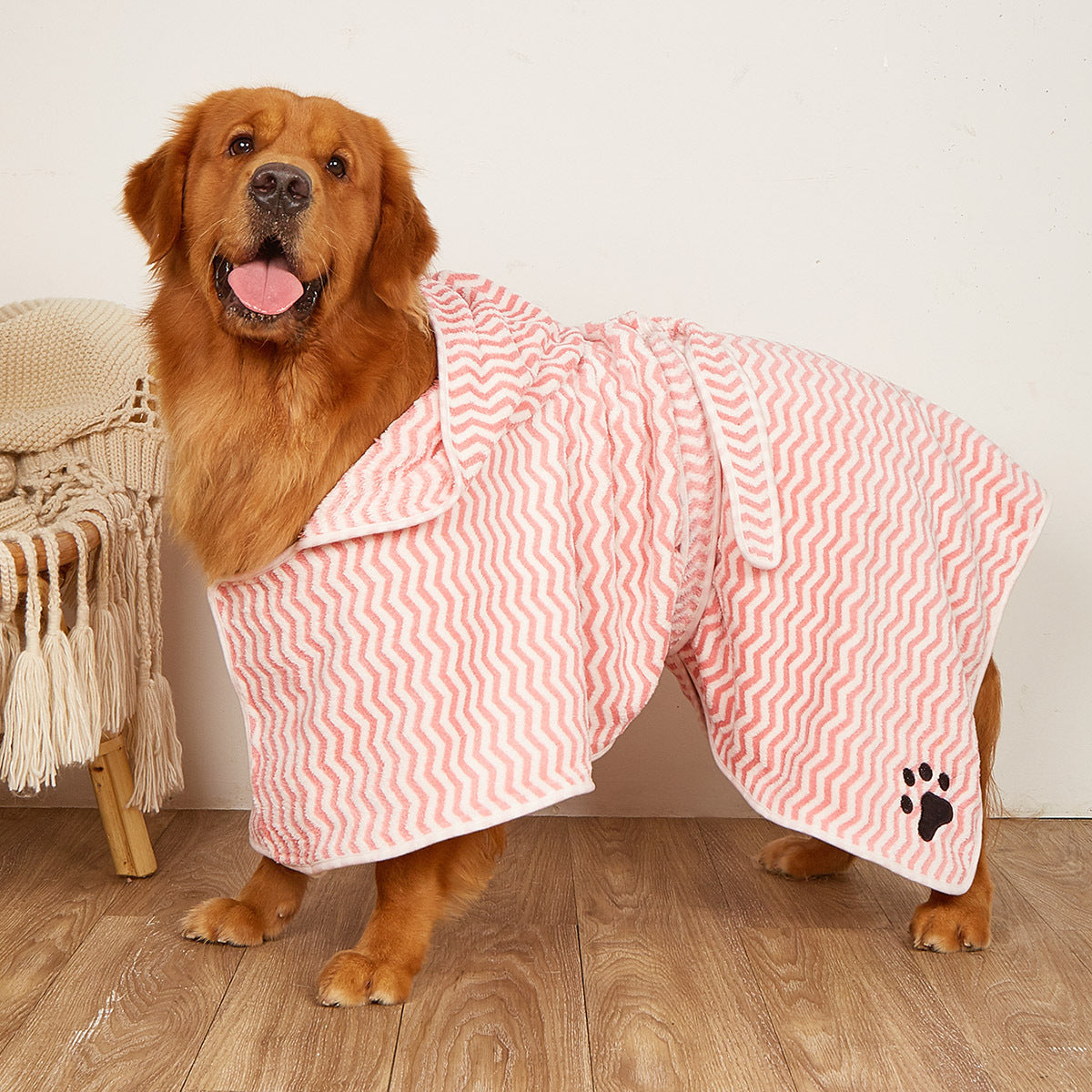 Dog wearing a bathrobe