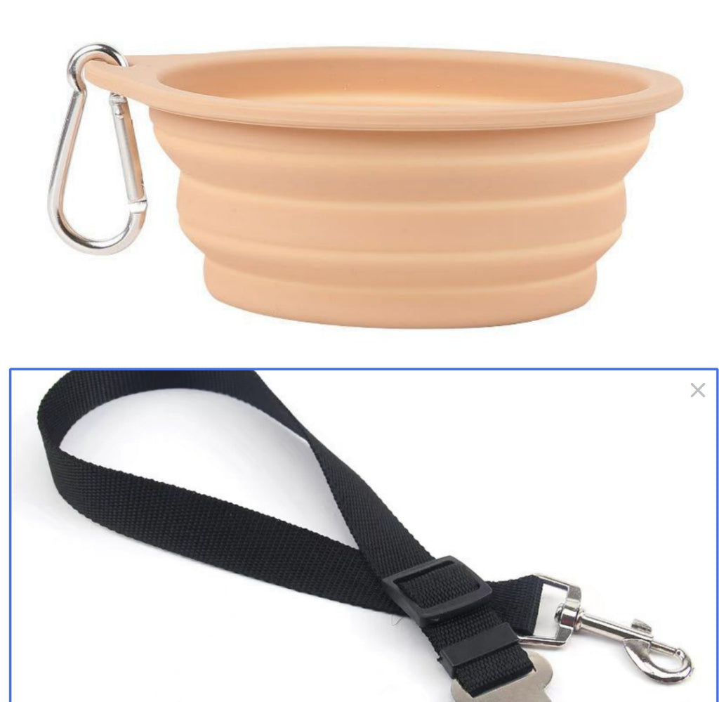 Collapsible beige pet bowl with carabiner and black dog leash 