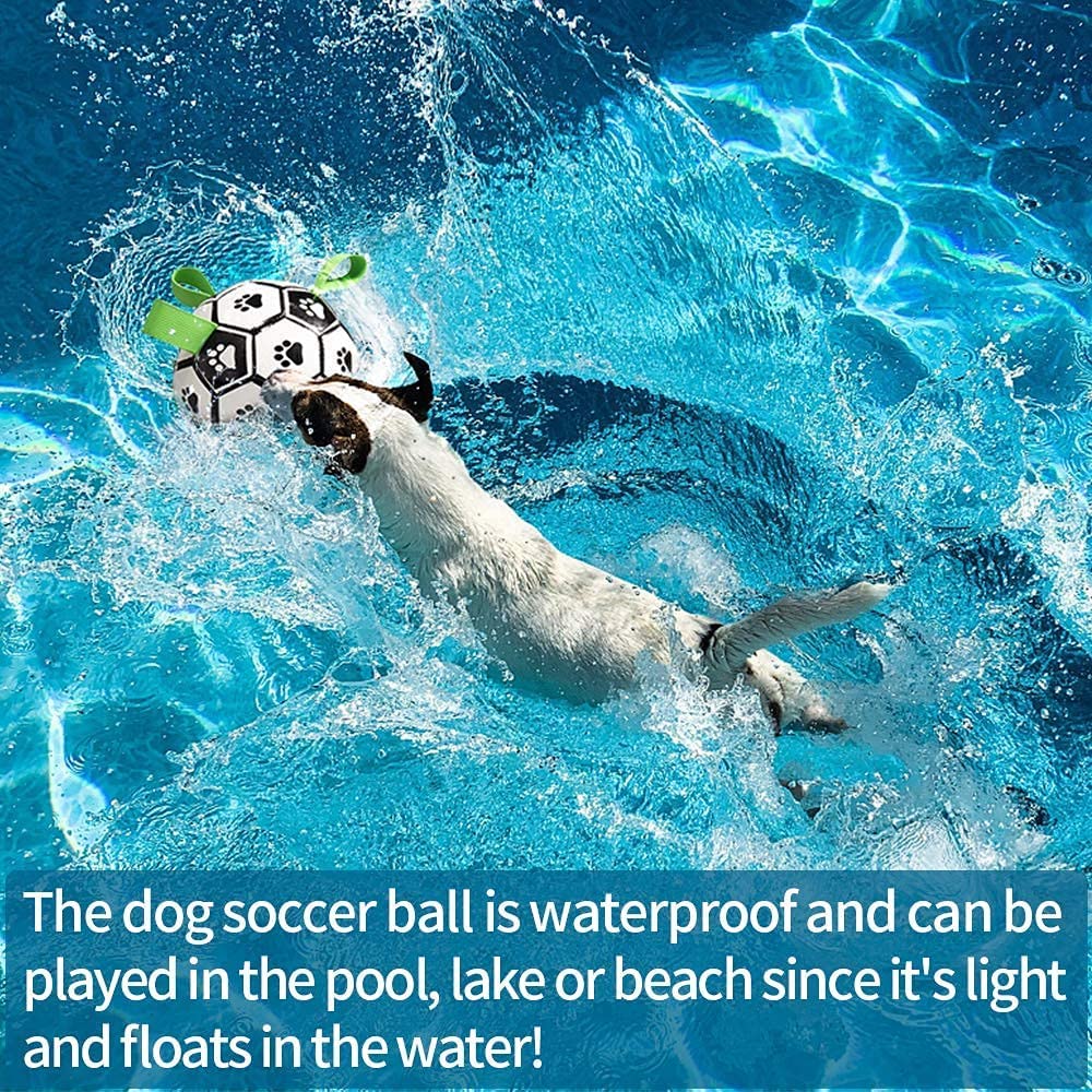 Dog playing with a soccer ball in water, with text about the ball's waterproof properties.