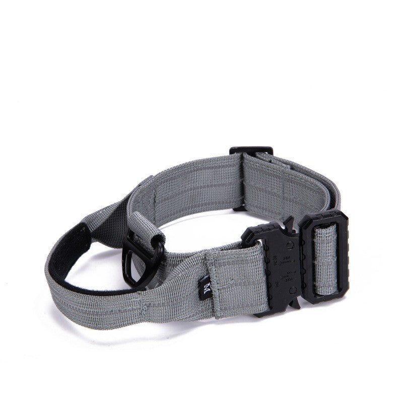 Gray dog collar with black buckle on a white background
