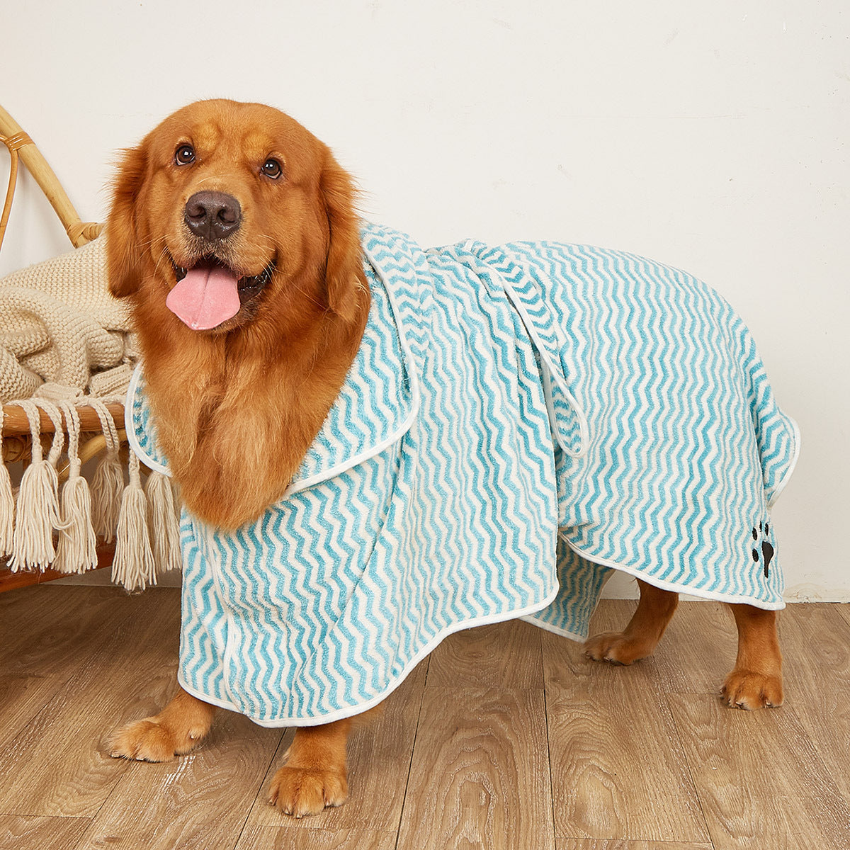 Dog wearing a bathrobe