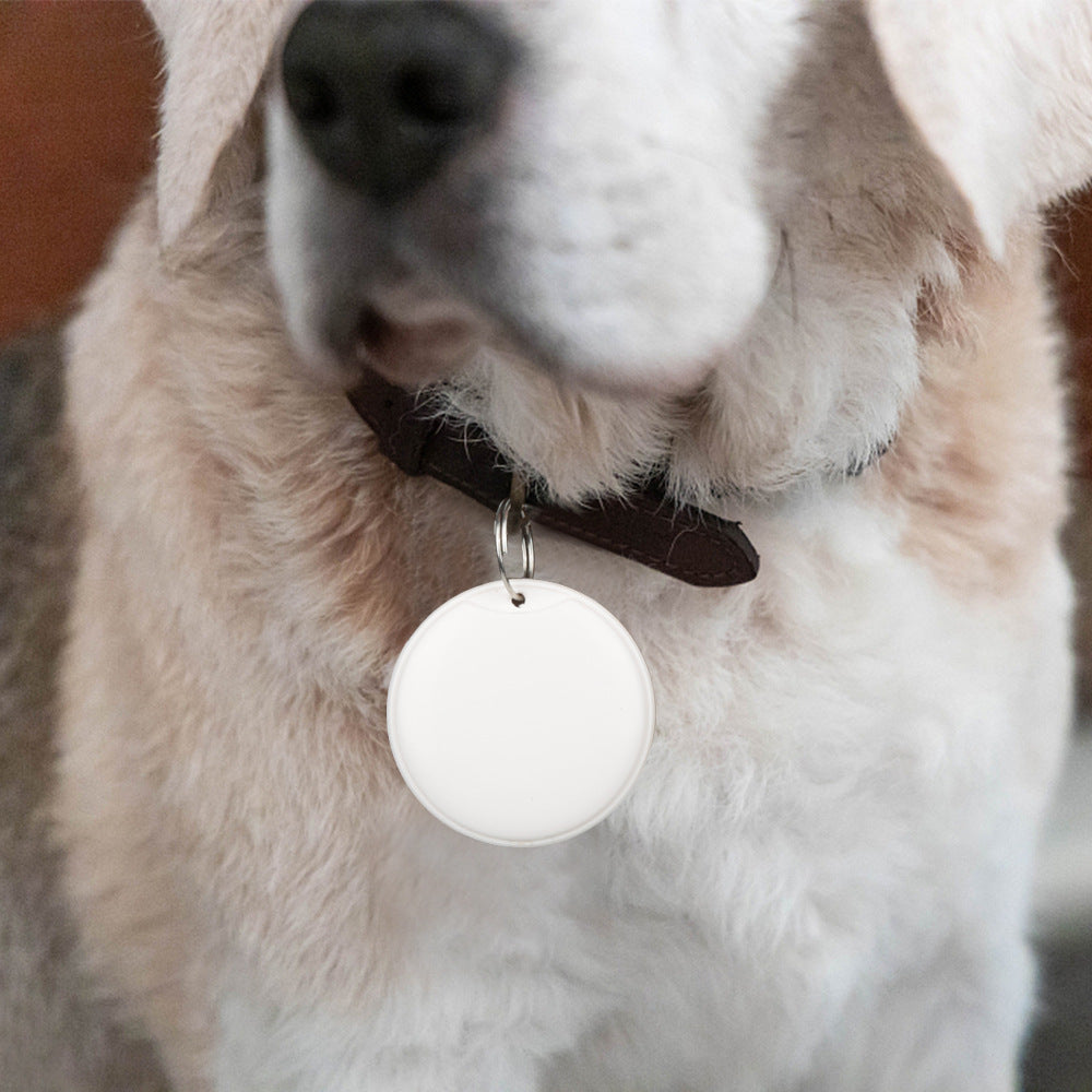 Close-up of a dog wearing a collar with a white GPS tag.