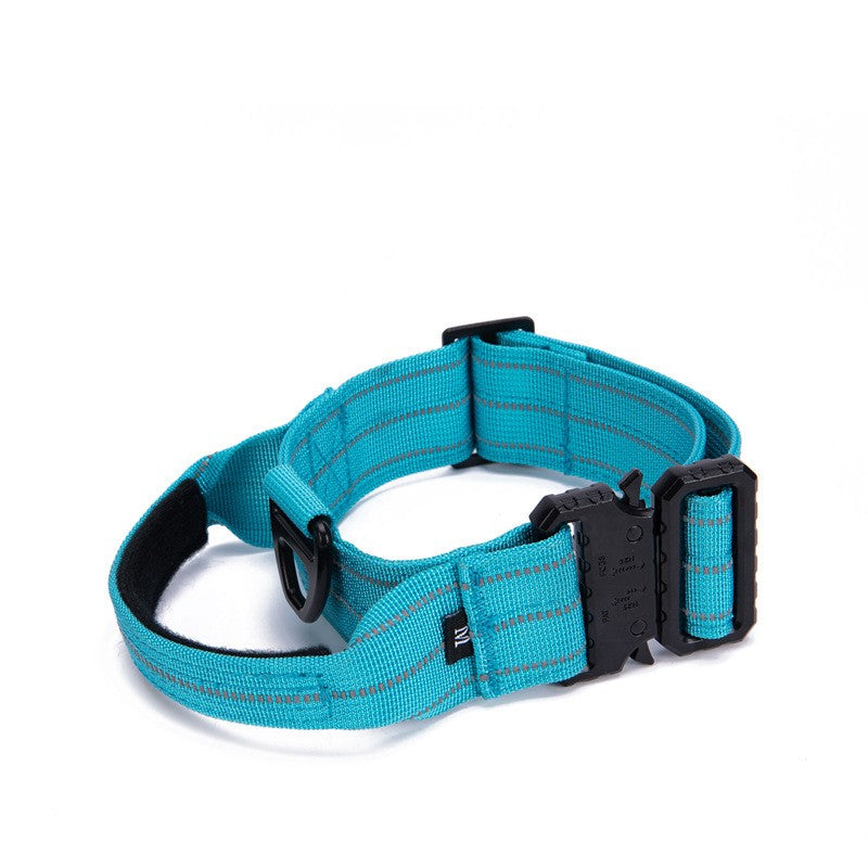 Turquoise dog collar with black hardware on a white background