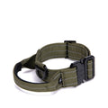 Green tactical dog collar with black buckle on a white background