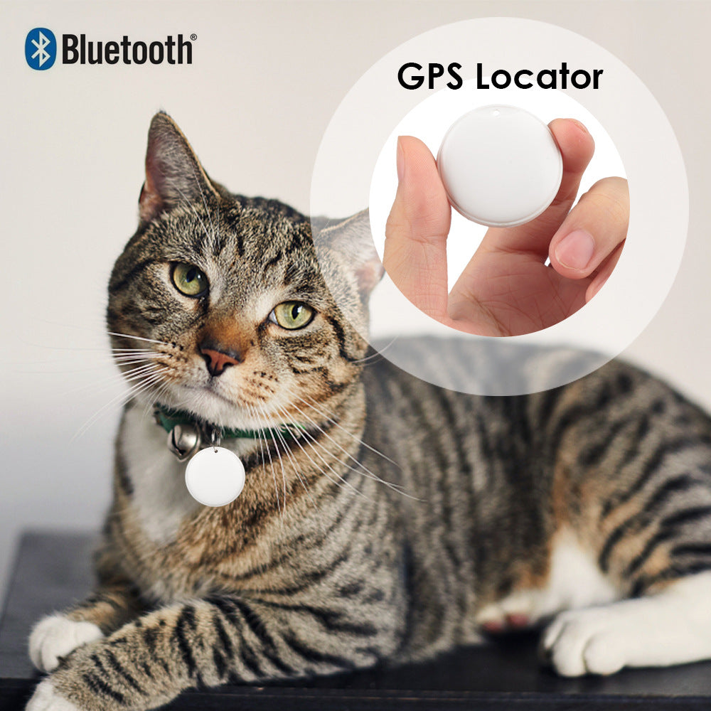 Cat wearing a GPS locator on a collar with a close-up of the device.