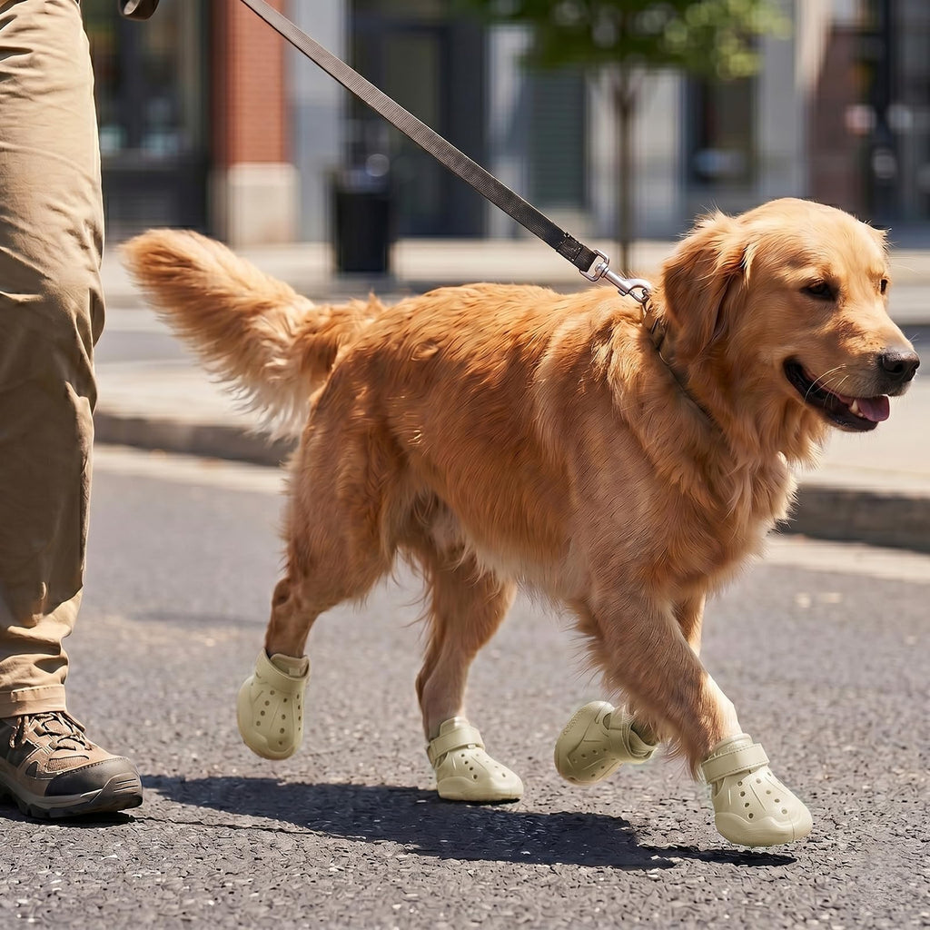 Golden retriever wearing green boots on a leash, walking on a street.