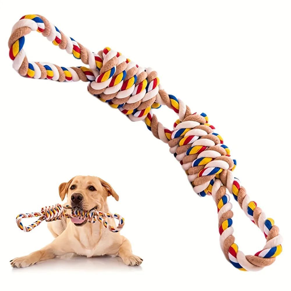 Dog playing with a colorful rope toy on a white background