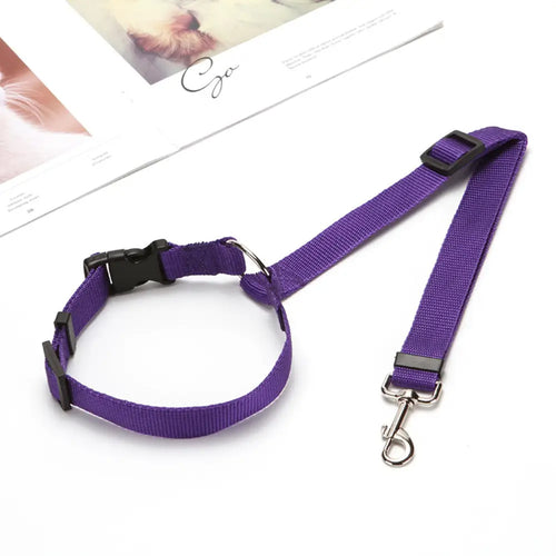 Purple dog collar and leash set on a white surface with a magazine in the background.