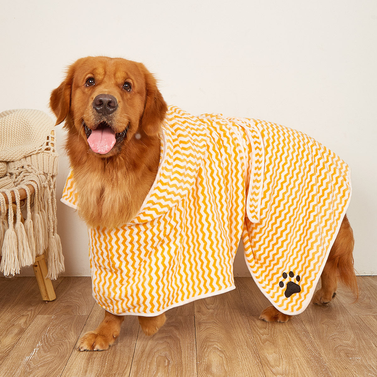 Dog wearing a bathrobe