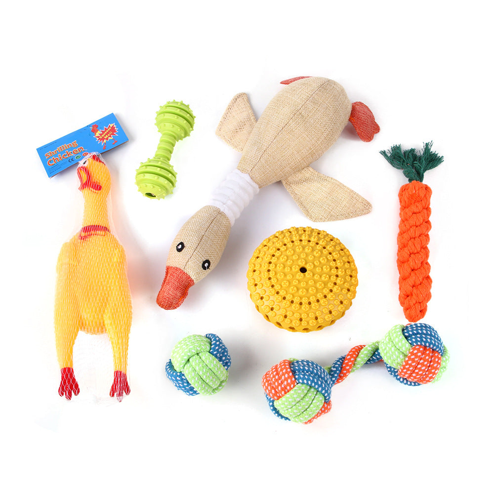Assorted colorful pet toys on a white background